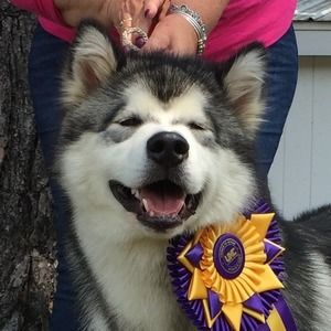 Meet your Posher, Mary